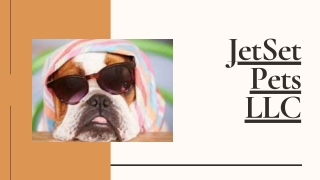 Pet Relocation Companies - JetSet Pets