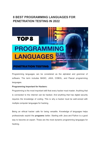 programming languages used in pentesting