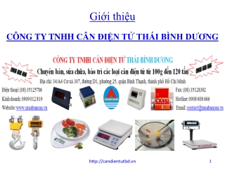 Can dien tu Thai Binh Duong