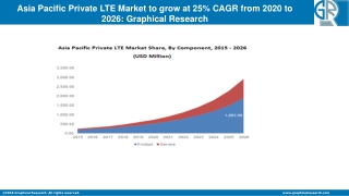 Asia Pacific Private LTE Market Outlook 2020 - Industry Statistics Analysis by 2