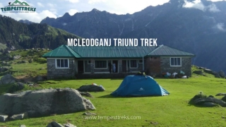 A Small And Quick Guide On Mcleodganj Triund Trek