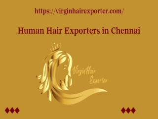 Human Hair Exporters in Chennai - Virgin Hair Exports