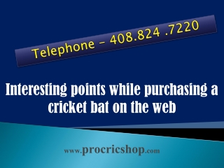 Interesting points while purchasing a cricket bat on the web