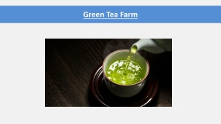 Green Tea - Things You Must Know Before You Buy Green Tea or Another Variety