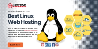 Best Linux Web Hosting