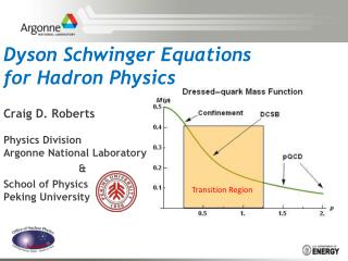 Dyson Schwinger Equations for Hadron Physics
