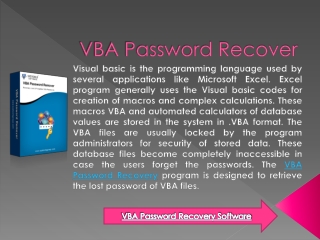 VBA Password Recover