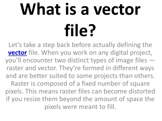 What is a vector file?