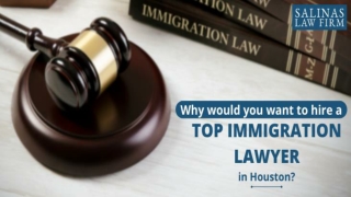 Hire a Top Immigration Lawyer in Houston | Salinas Law Firm