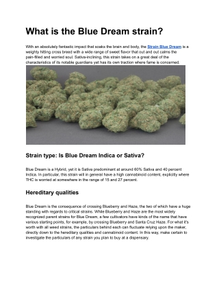 What is the Blue Dream strain