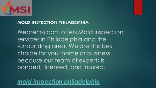 Mold Inspection Philadelphia  Wearemsi.com