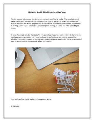 Gigi Catalin Neculai - Digital Marketing, a Must Today
