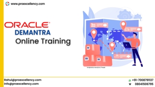 Online Training For Oracle Demantra By Proexcellency (1)