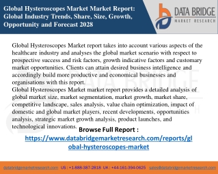 Global Hysteroscopes Market