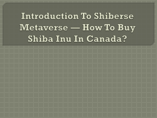 Introduction To Shiberse Metaverse — How To Buy Shiba Inu In Canada?
