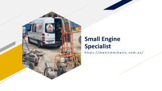 Small Engine Specialist