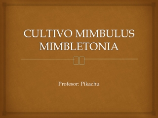 El Cultivo Mimbulus Mimbletonia