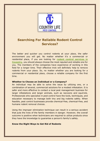 Searching For Reliable Rodent Control Services