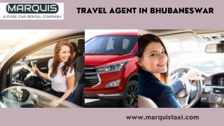 Travel Agent in Bhubaneswar