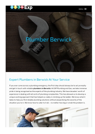Plumber berwick