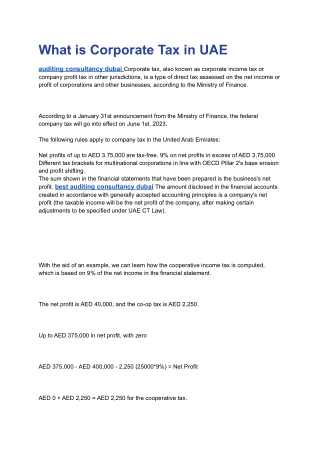 auditing dubai