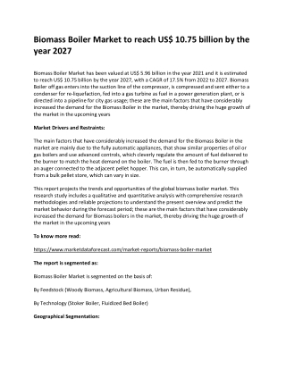 Biomass Boiler Market
