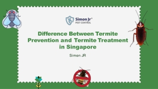 Difference Between Termite Prevention and Termite Treatment in Singapore