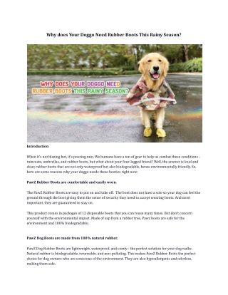 Why does Your Doggo Need Rubber Boots This Rainy Season?