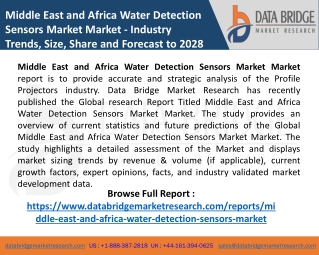 Middle East and Africa Water Detection Sensors Market
