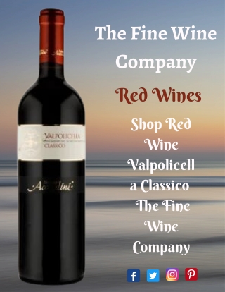 Shop Red Wine Valpolicella Classico - The Fine Wine Company