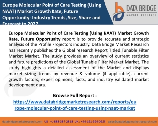 Molecular Point Of Care Testingppt