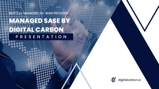 Managed Services of Digital Carbon