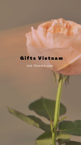 Gifts Vietnam.pdf