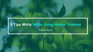 5 Tips to Remember When Using Your Hedge Trimmer