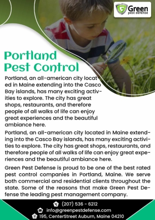 Portland Carpenter Ant, Mouse and Rodent Control Experts