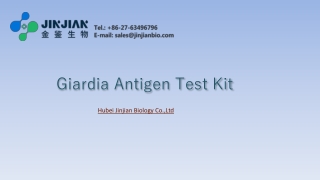 Giardia Antigen Test Kit