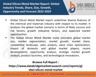 Global Silicon Metal Market  Pdf