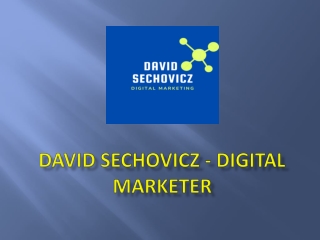 David Sechovicz - Digital marketer