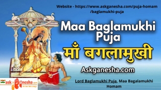 Maa Baglamukhi Puja  Maa Bagalamukhi Homam