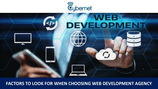 Factors to Look for When Choosing Web Development Agency