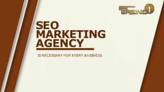 SEO marketing agency in Taxes