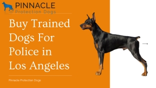 Buy Trained Dogs For Police in Los Angeles