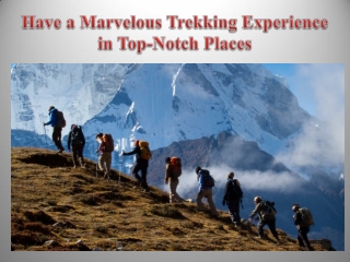 Have a Marvelous Trekking Experience in Top-Notch Places