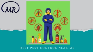 Best pest control near me