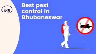 Best pest control in Bhubaneswar