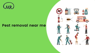Pest removal near me
