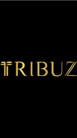 Interior Designers Near Mg Road | Tribuz