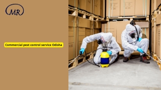 Commercial pest control service Odisha