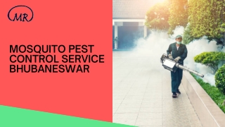 Mosquito pest control service Bhubaneswar