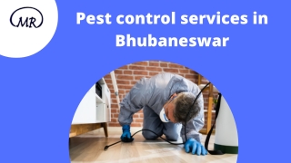 Pest control services in Bhubaneswar